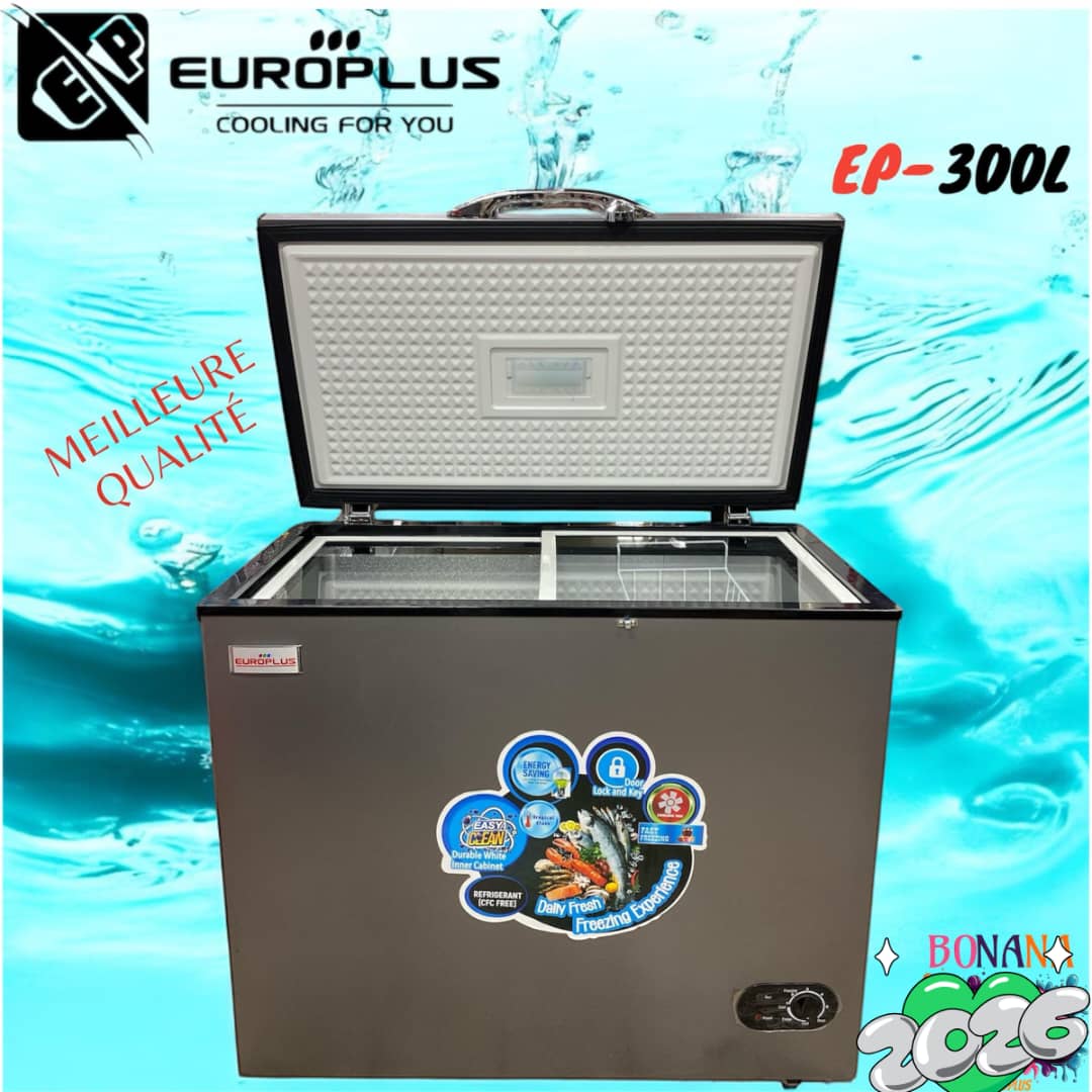 Congélateur 300L